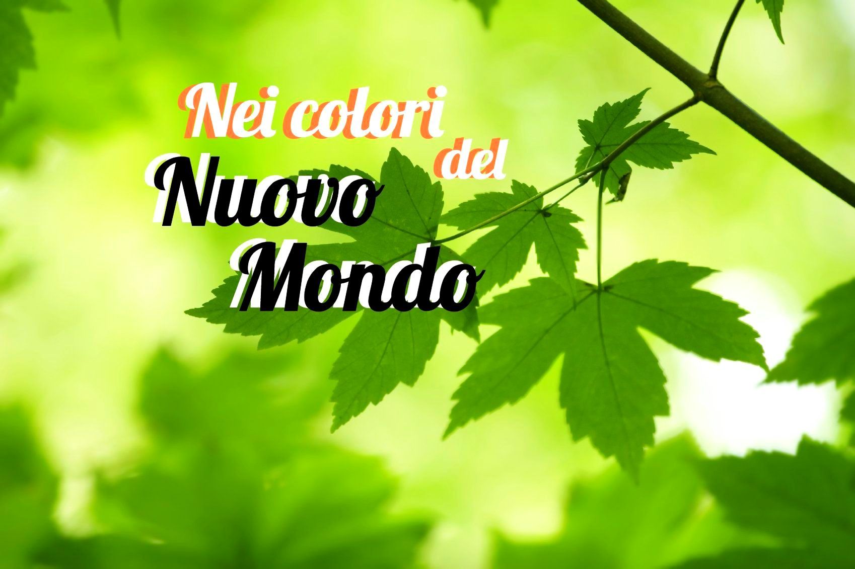 Torce, lucciole e Luma Piena