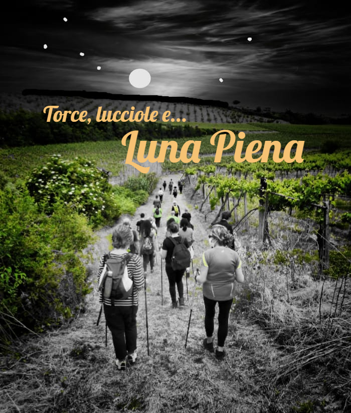 Torce, lucciole e Luma Piena