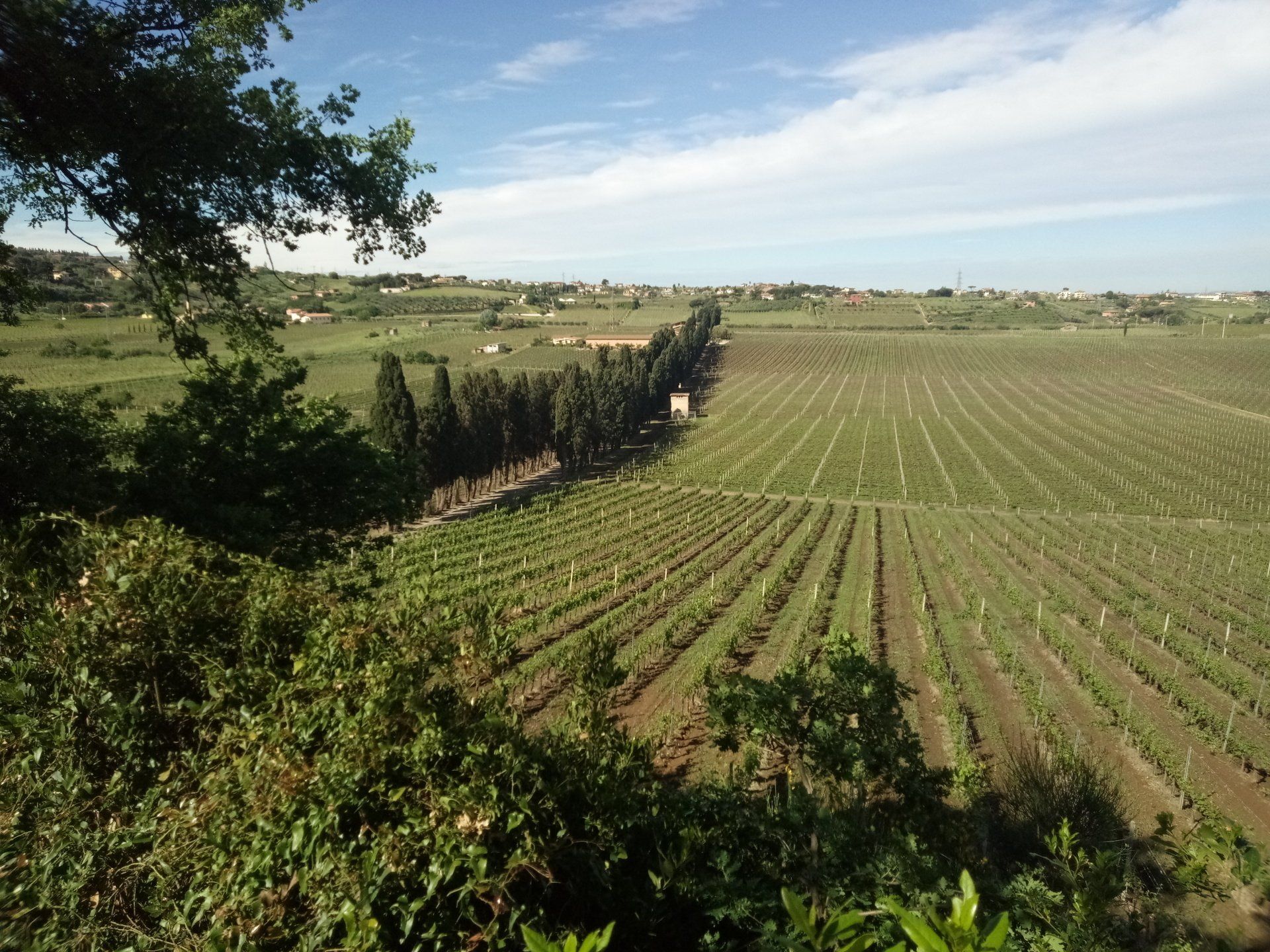 Tenuta Pietra Porzia
