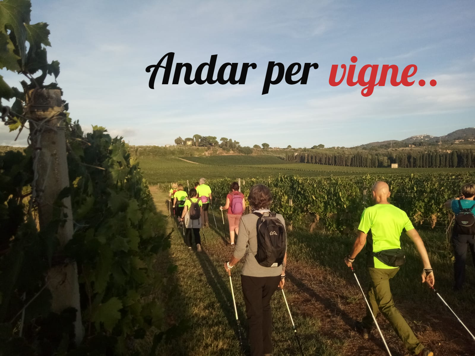 Torce, lucciole e Luma Piena