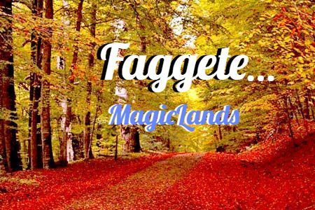 Torce, lucciole e Luma Piena