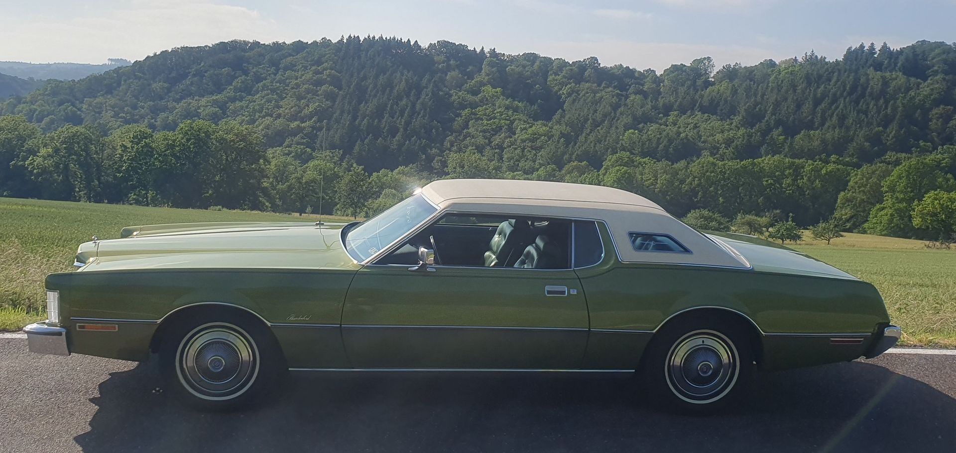 1973 Ford Thunderbird 1973 Ford
Thunderbird