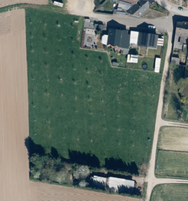 Quelle: TIM Online NRW