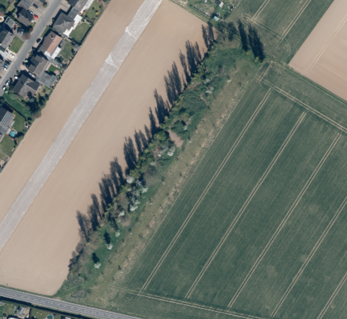 Quelle: TIM Online NRW