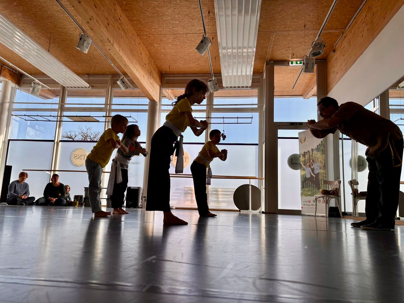 Taijiquan Lehrer Salzburg