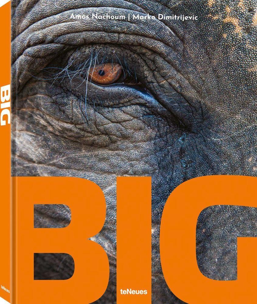 BIG. A Photographic Album of the World's Largest Animals
