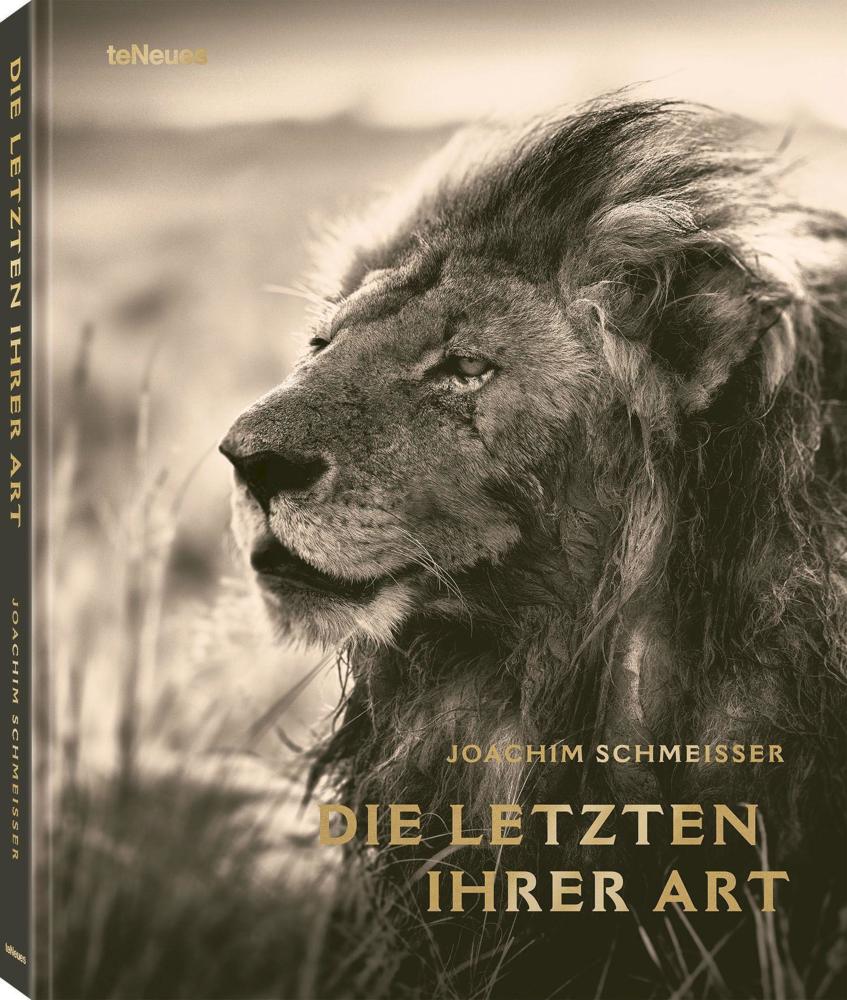 Die Letzten ihrer Art. Löwen