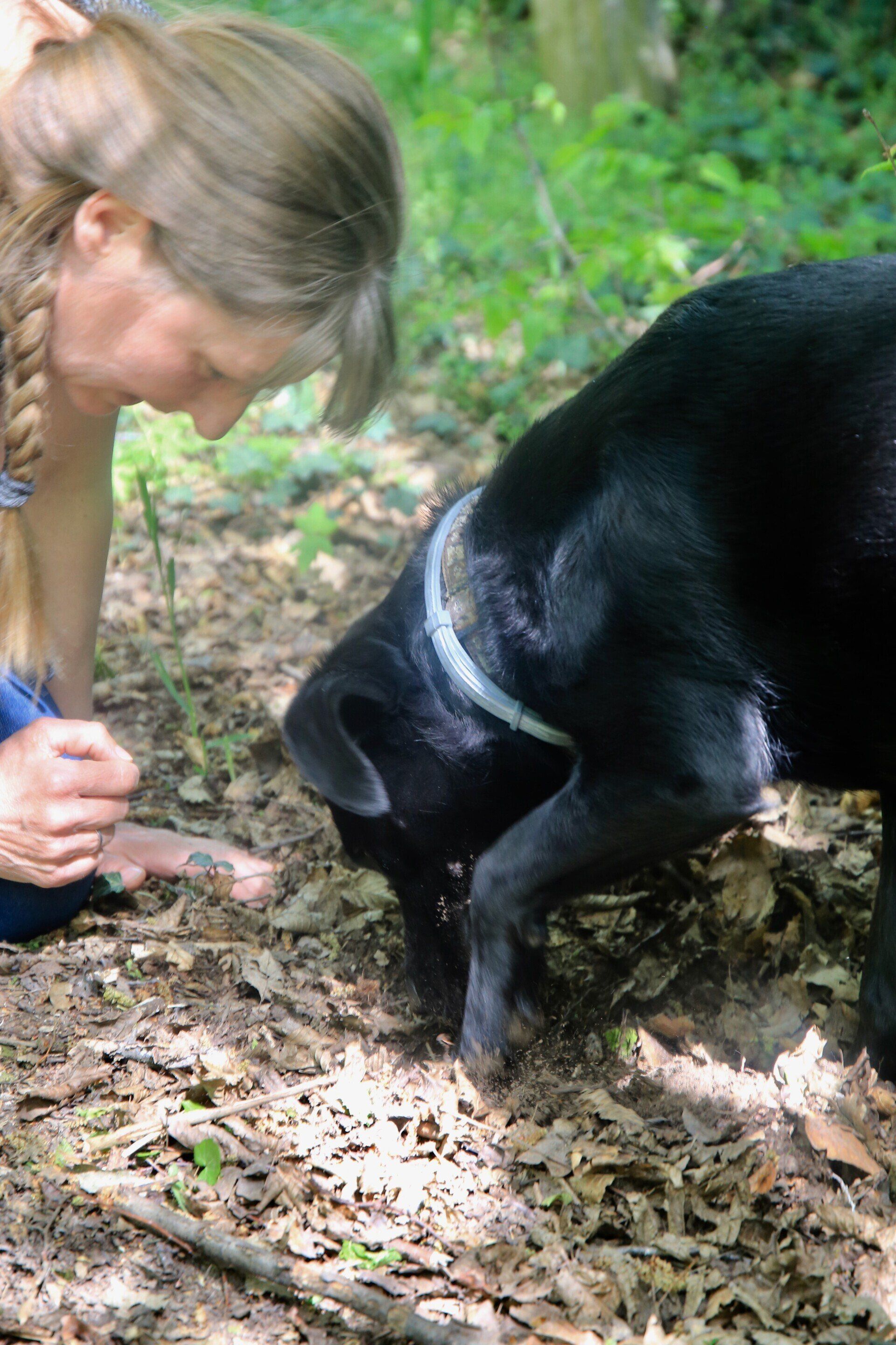 Kirsten Tänzer sucht vegane Köstlichkeiten mit ihrem Hund