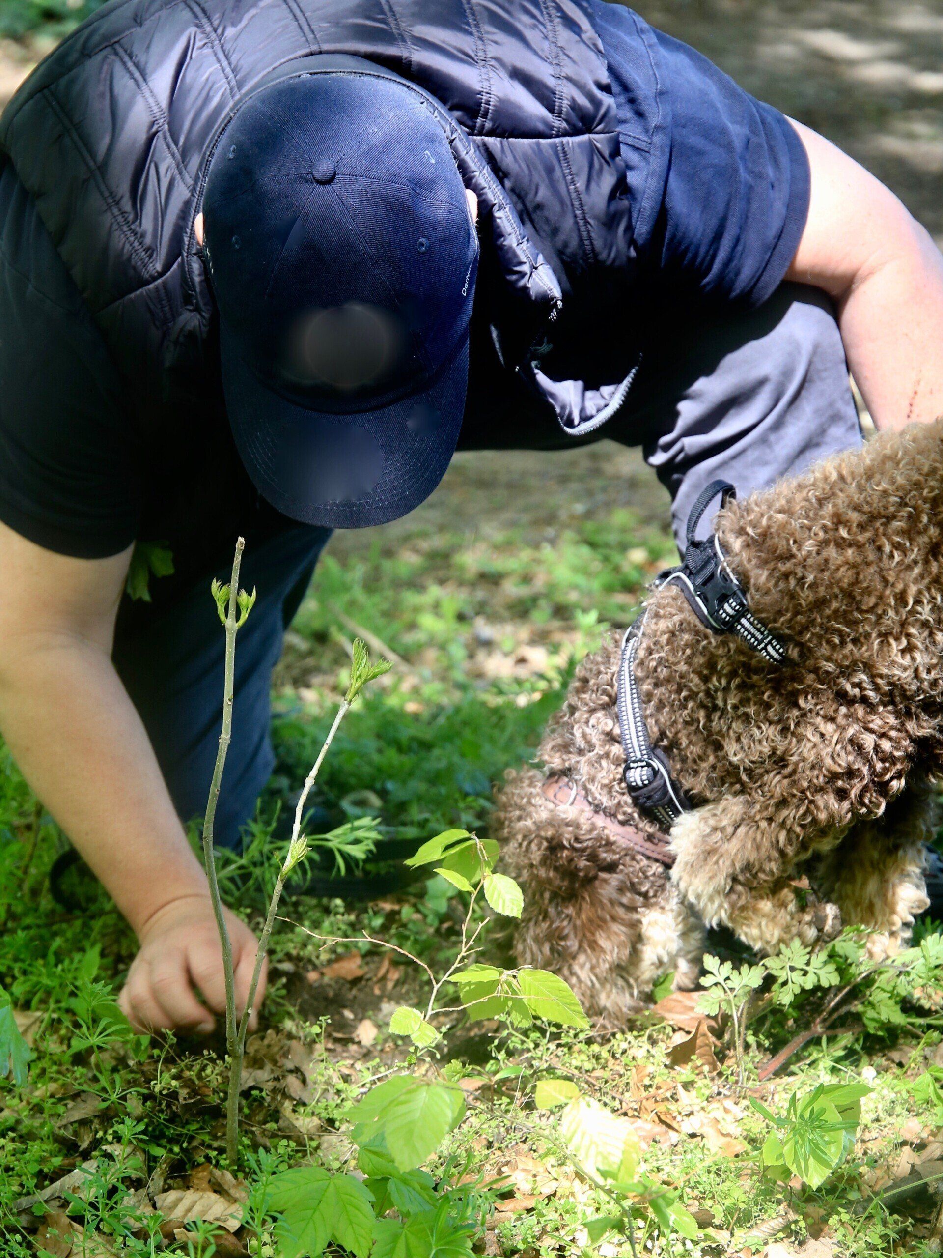 André mit Lagotto Bolle bei der Trüffelsuche