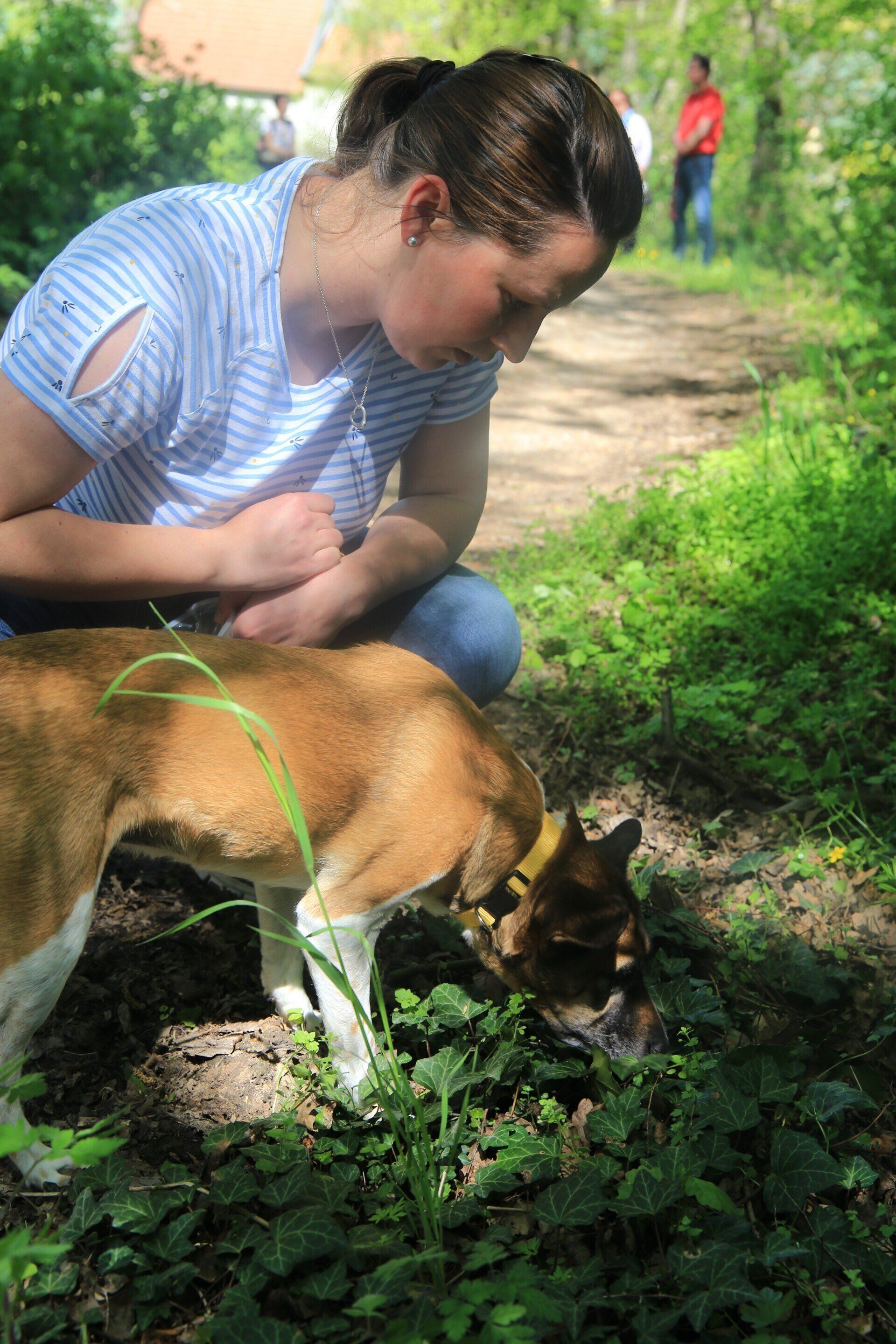 Saskia und ihr Hund aus dem Tierschutz - Trüffelsuche eine neue Aufgabe