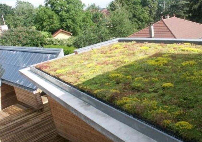 roof terrace expertise