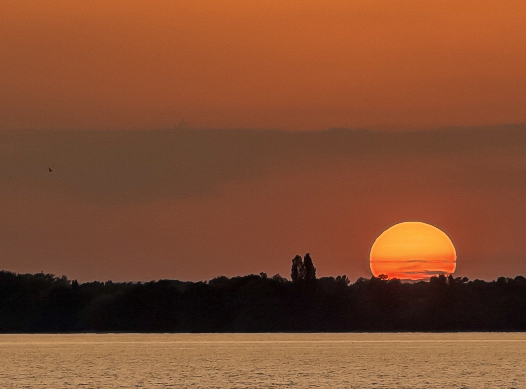Bodensee Motorboot Charter, Bodensee Yachtcharter, Heiratsantrag Bodensee, Dinner for 2 Bodensee