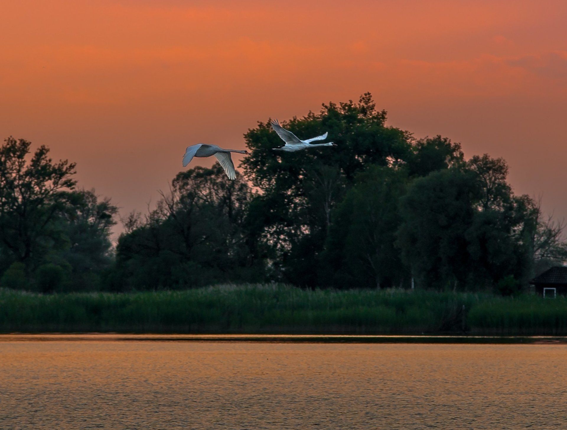 Bodensee Motorboot Charter