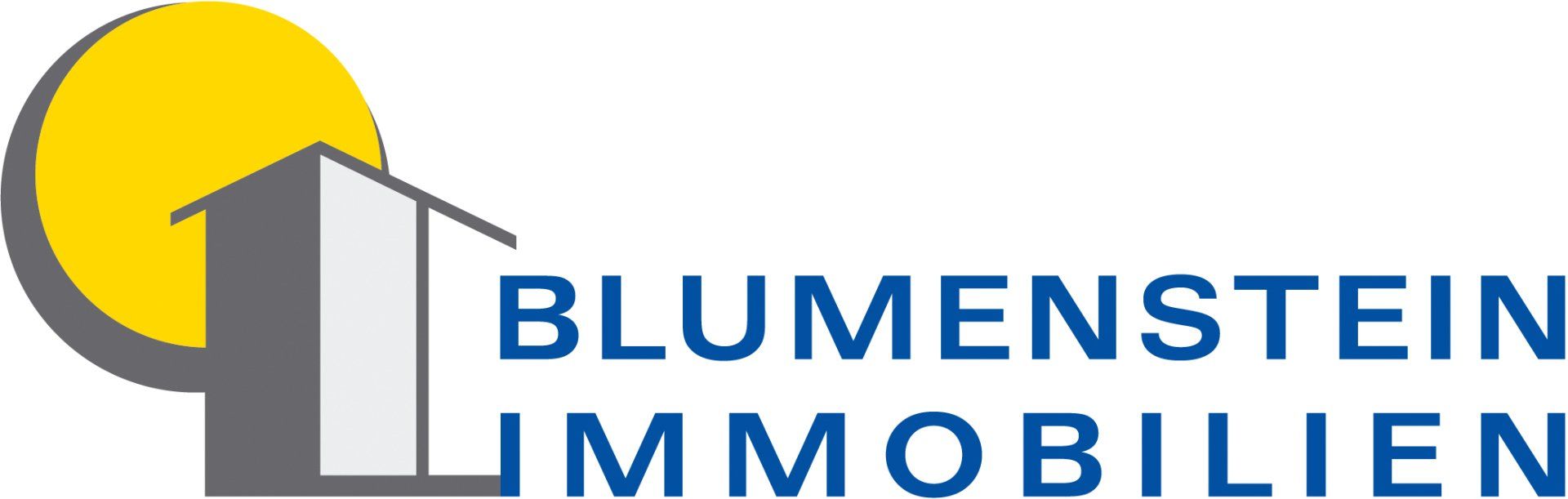 blumenstein_logo