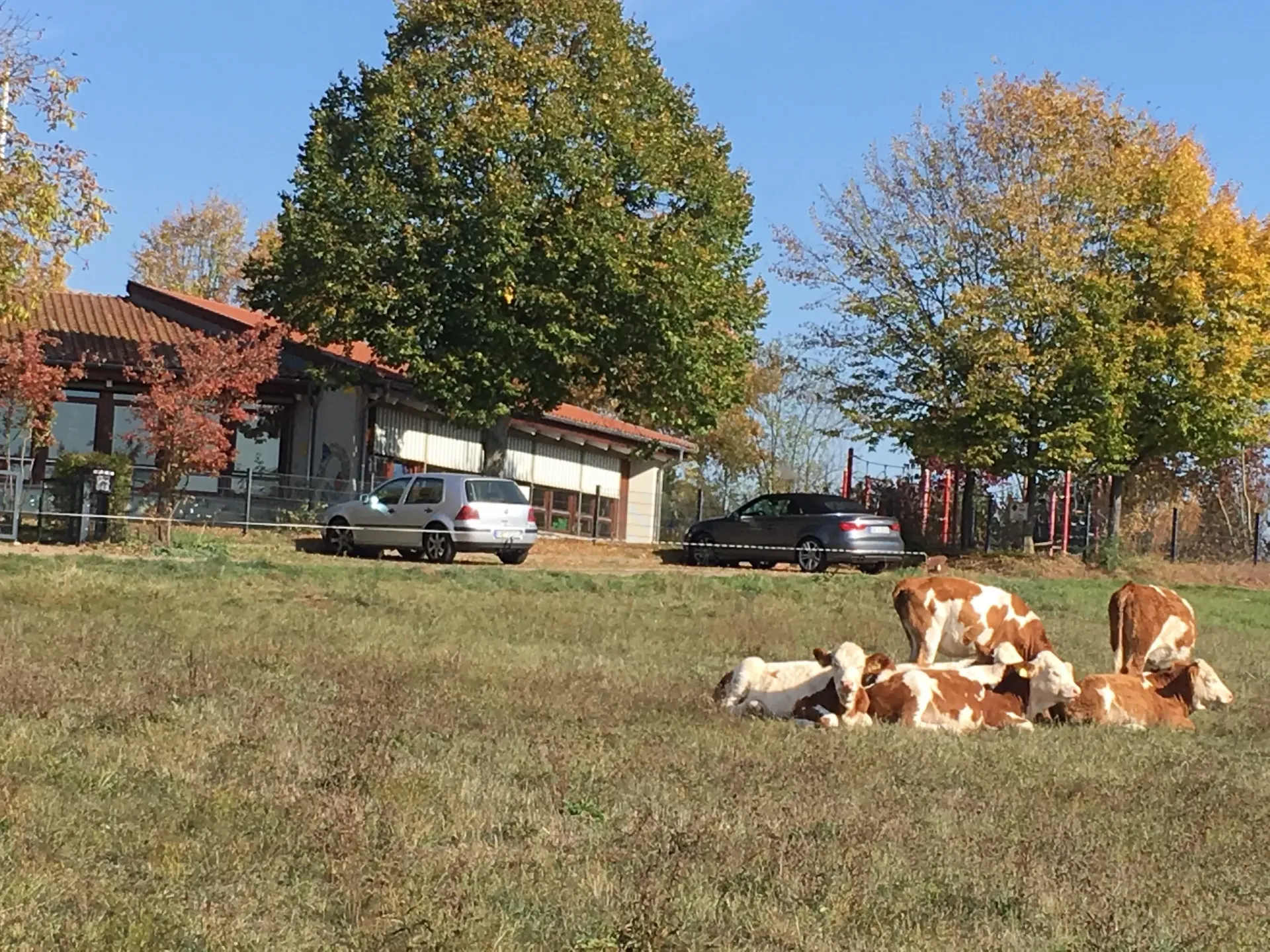 Johannes Gutenbergschule - Italien