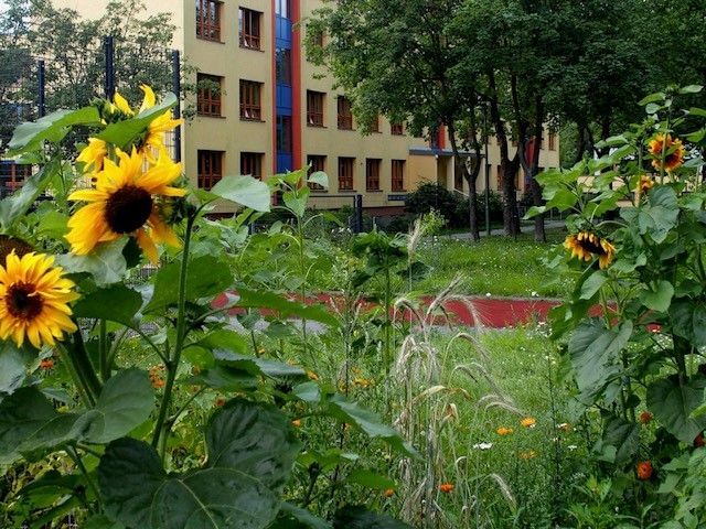 Johannes Gutenbergschule - Italien