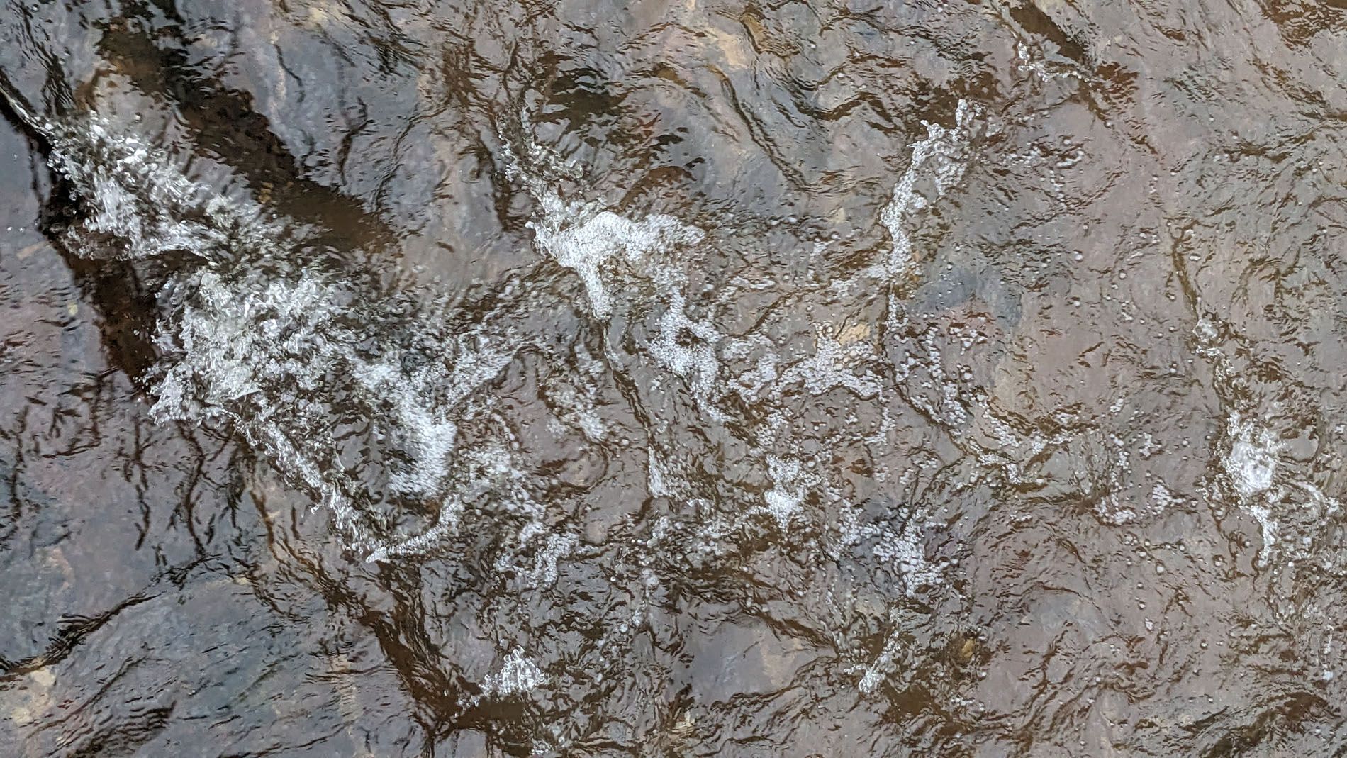 Bananenblätter in Dörlinbach, Herrenmatt im Regen