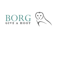 Bucks Owl Raptor Group