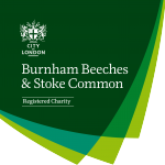 Burnham Beeches