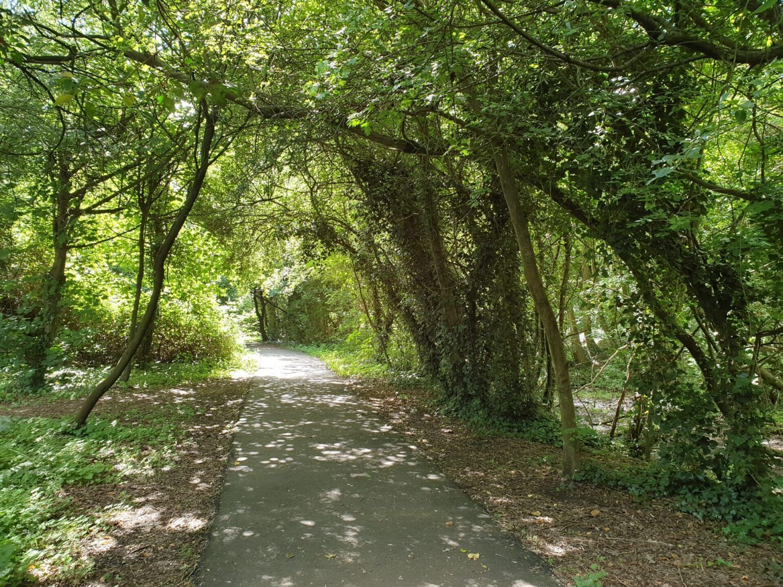 Buckingham Railway Walk