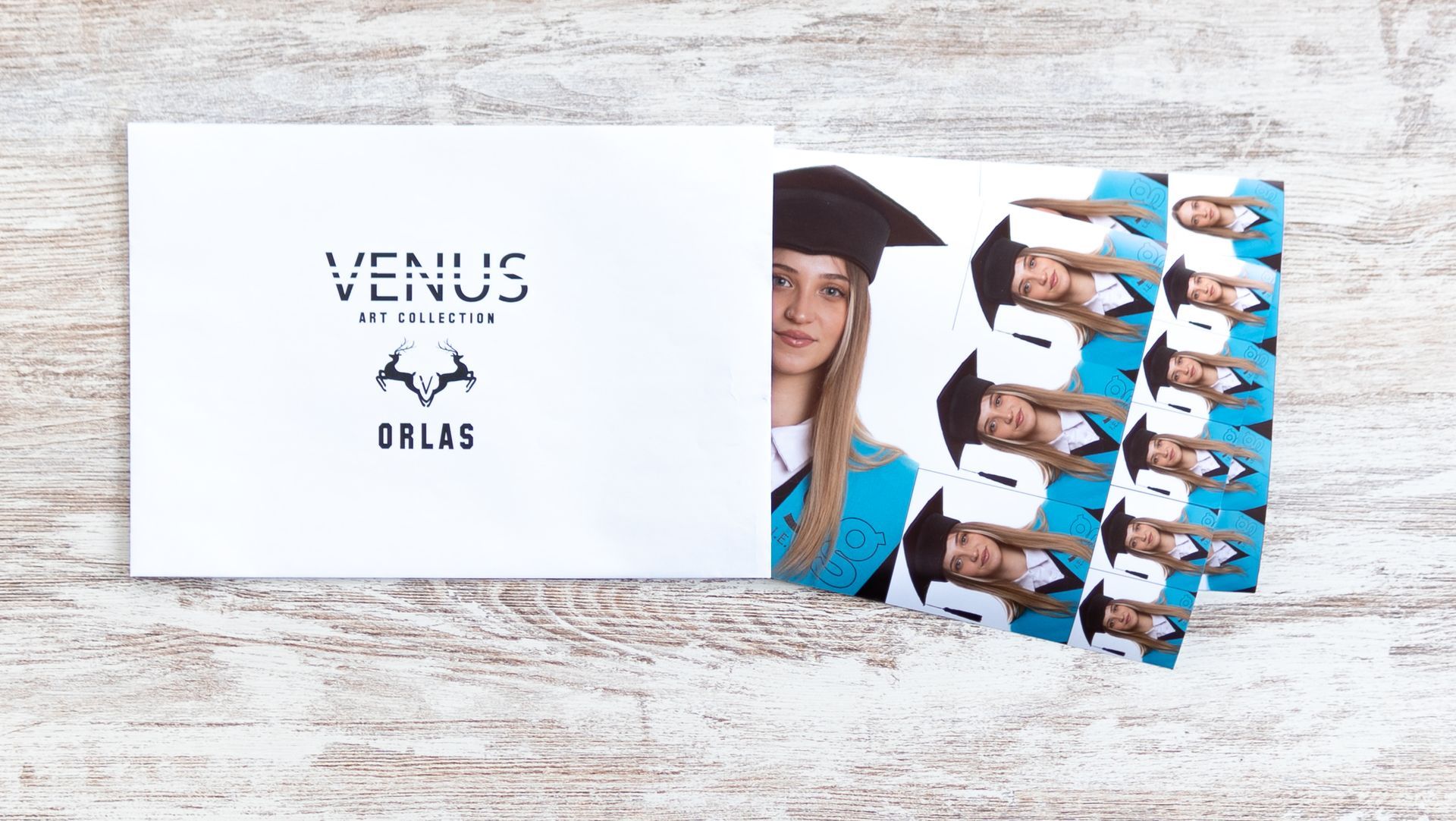 Venus Art Collection