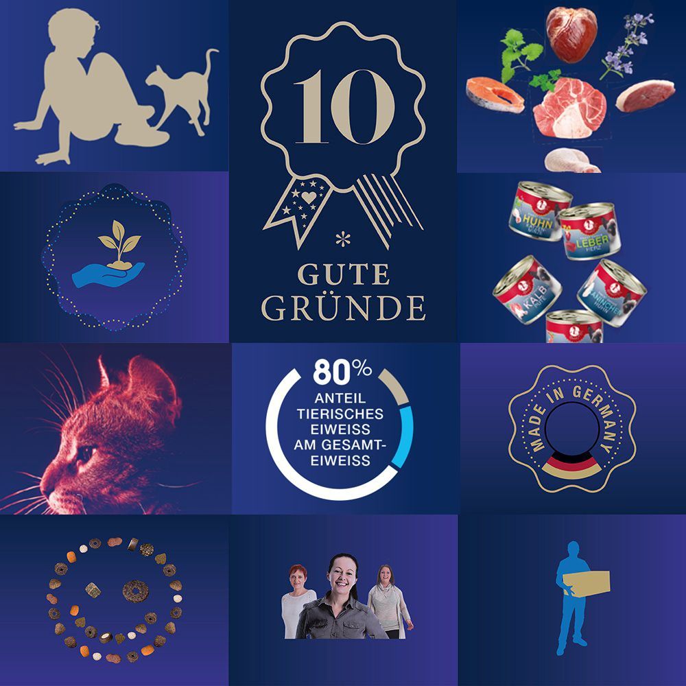 Das Bild zeigt per Symbol die 10 guten Gründe für Dinner for Cats