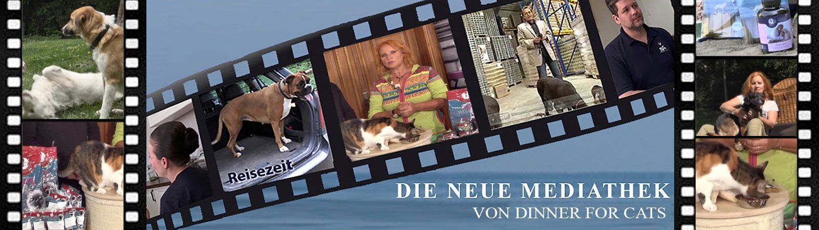 Das Bild zeigt einen Filmstreifen als Headerbild unserer Rubik Mediathek