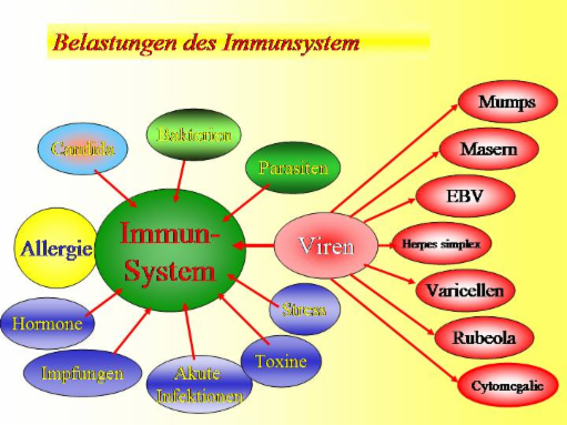 Quelle aus dem Buch „Bioresonanz - Therapie mit Zukunft“ von Dr.med. Gerhard Rummel www.Bioresonanz-info.de