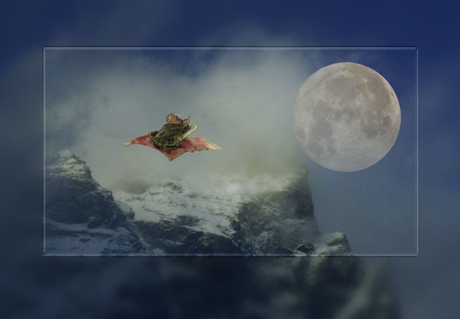 Composite Photograph by Julie Close The Wee Pixel