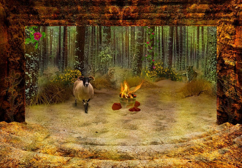 Composite Photograph by Julie Close The Wee Pixel