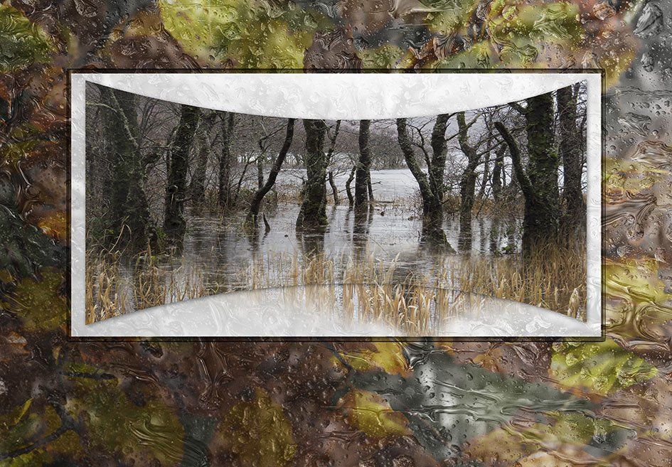 Composite Photograph by Julie Close The Wee Pixel