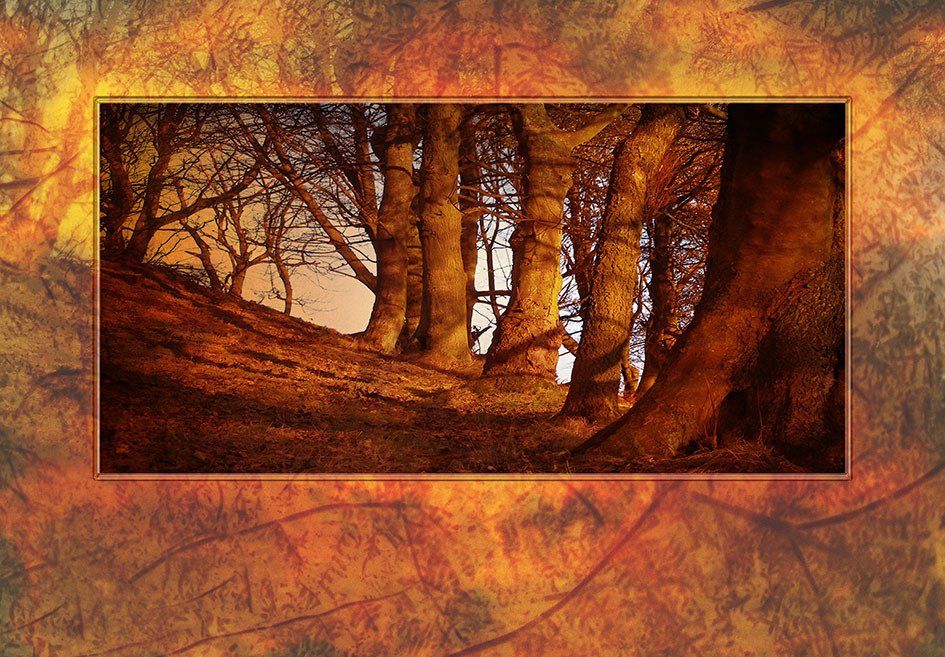 Composite Photograph by Julie Close The Wee Pixel