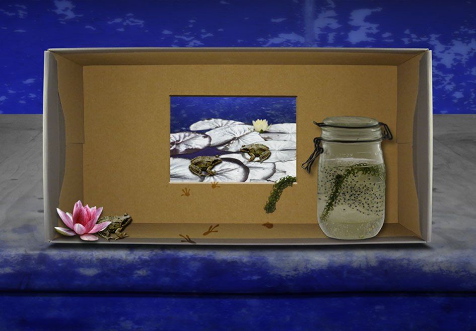 Composite Photograph by Julie Close The Wee Pixel