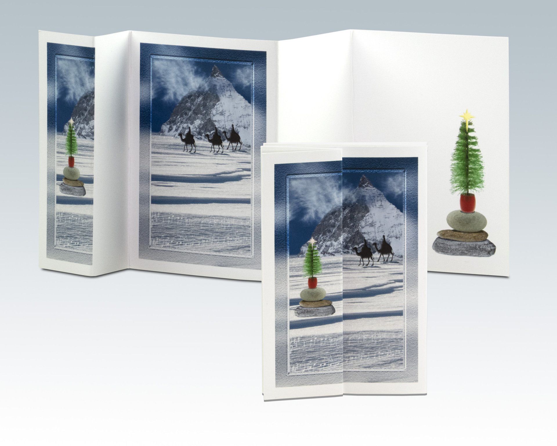 Composite Photograph by Julie Close The Wee Pixel