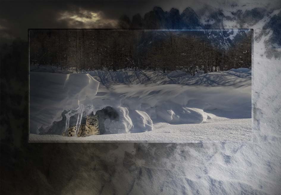 Composite Photograph by Julie Close The Wee Pixel