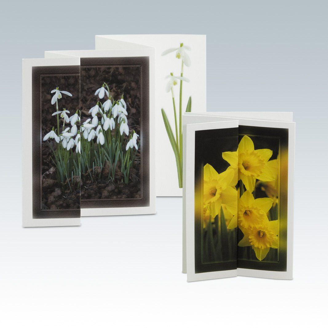 Hand crafted books where every image tells a story and concertina cards, fun in an envelopee