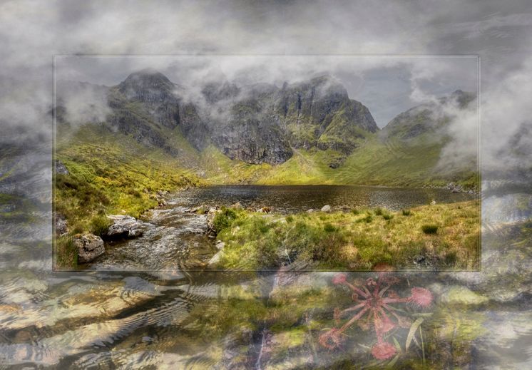 Composite Photograph by Julie Close The Wee Pixel