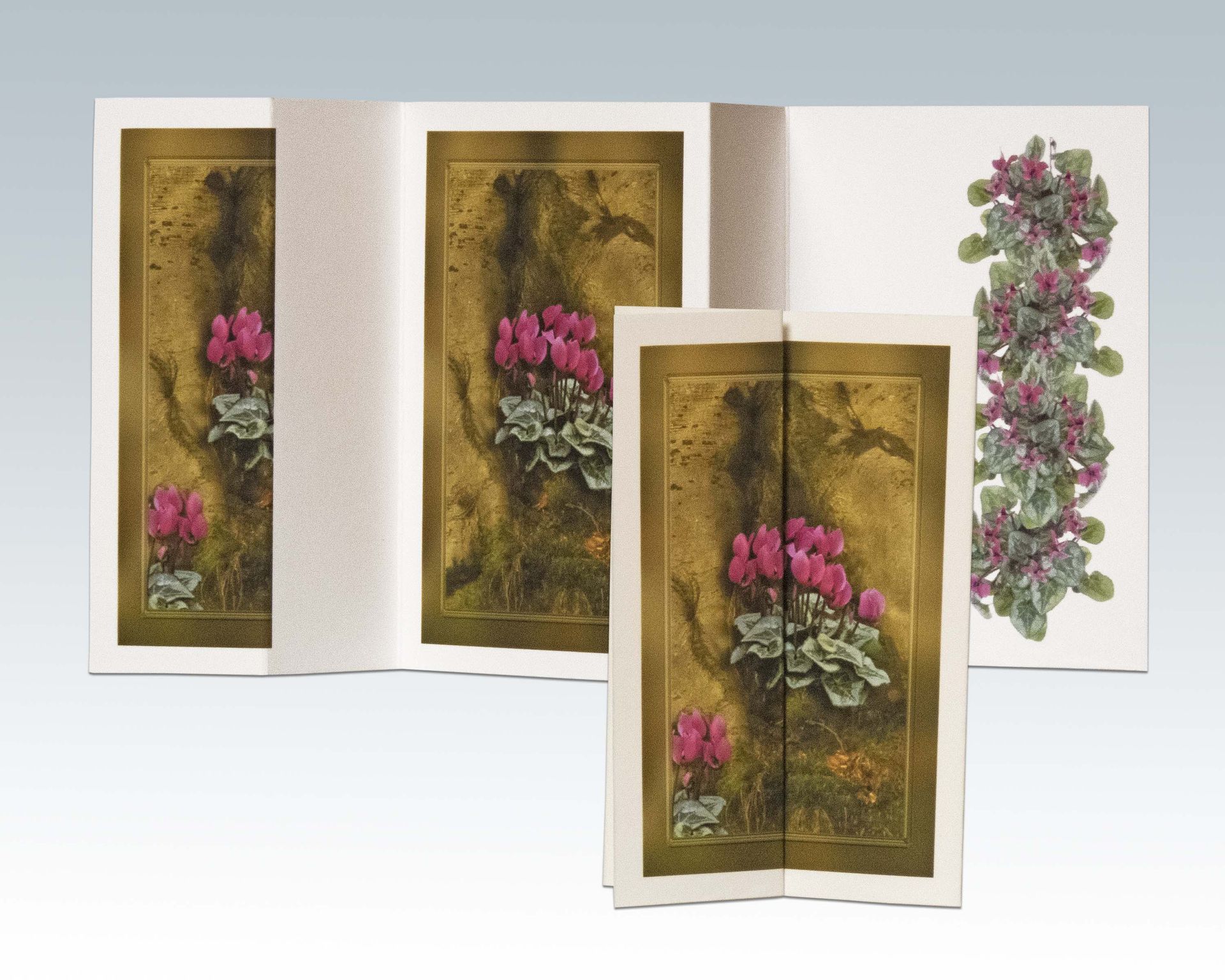 Composite Photograph by Julie Close The Wee Pixel