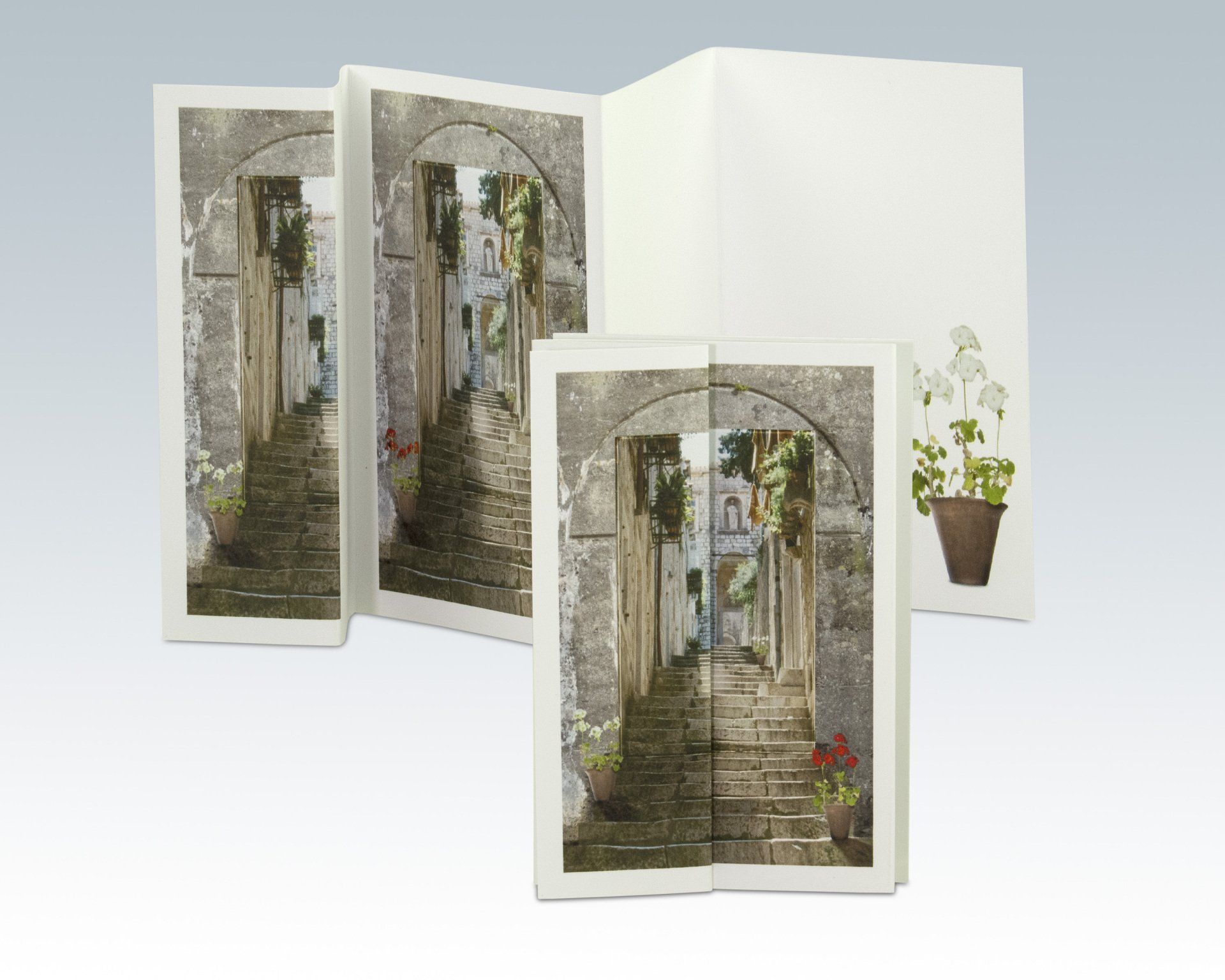 Composite Photograph by Julie Close The Wee Pixel