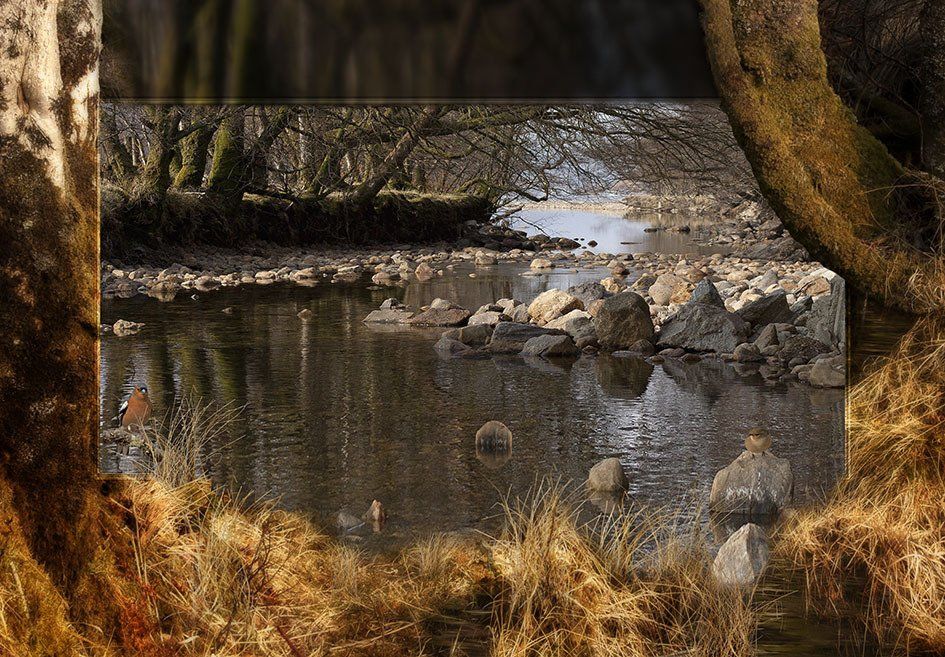 Composite Photograph by Julie Close The Wee Pixel