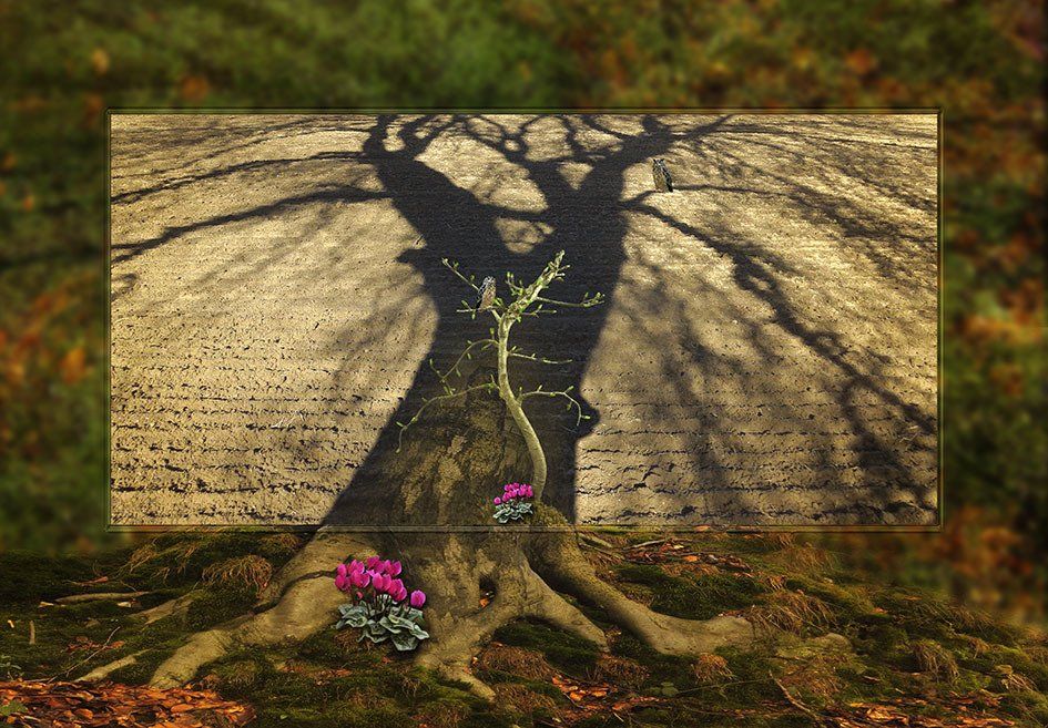 Composite Photograph by Julie Close The Wee Pixel