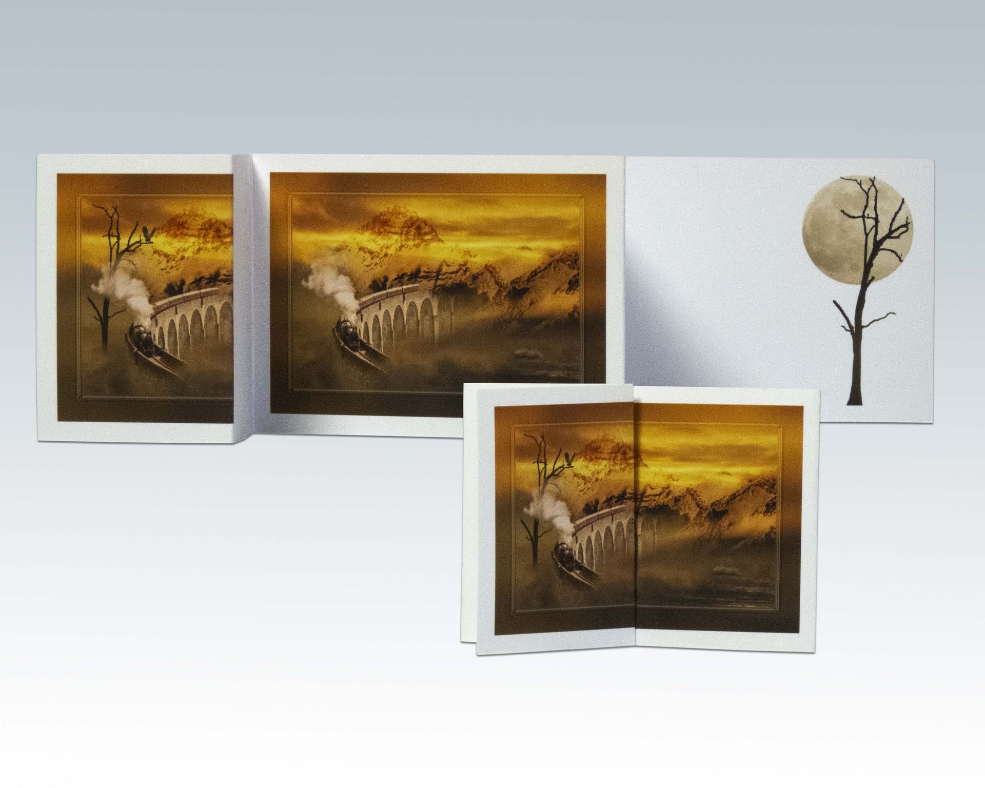 Composite Photograph by Julie Close The Wee Pixel