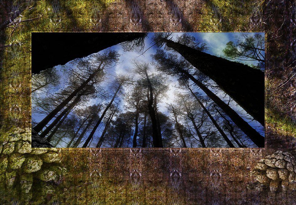 Composite Photograph by Julie Close The Wee Pixel