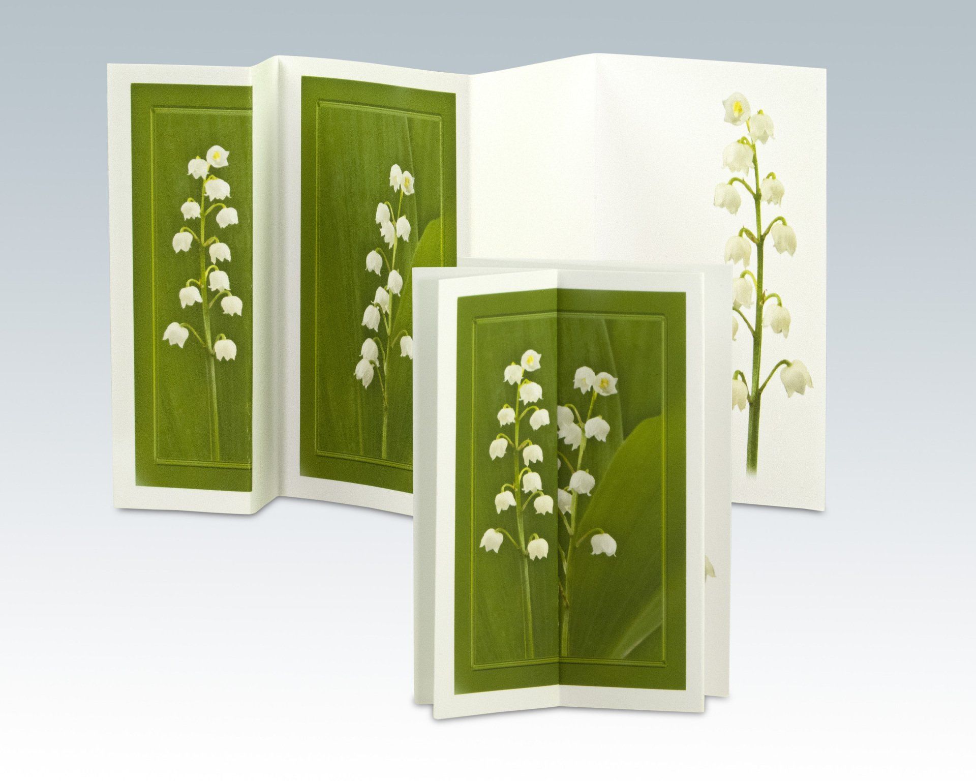 Composite Photograph by Julie Close The Wee Pixel