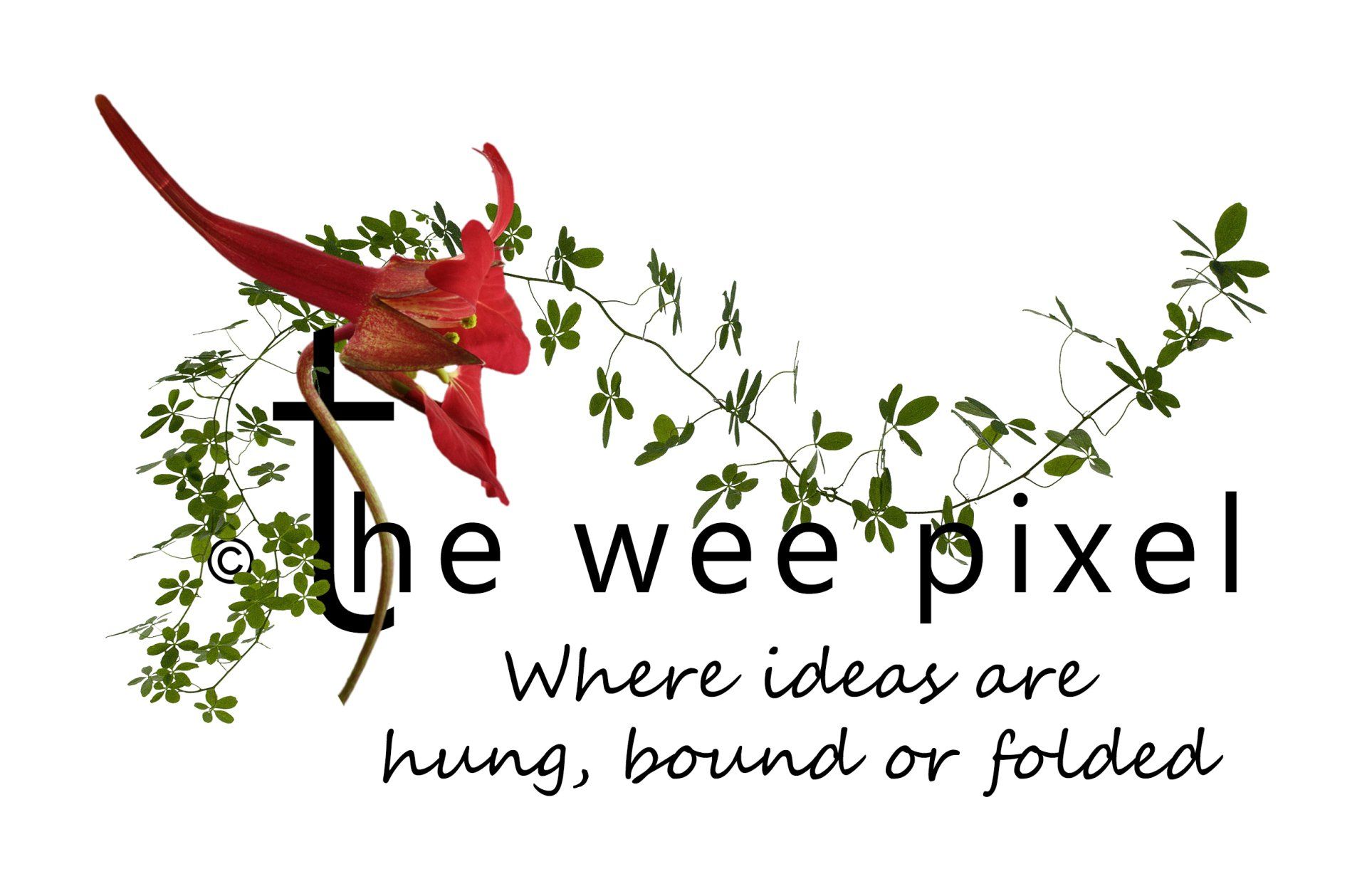 Julie Close @ the wee pixel