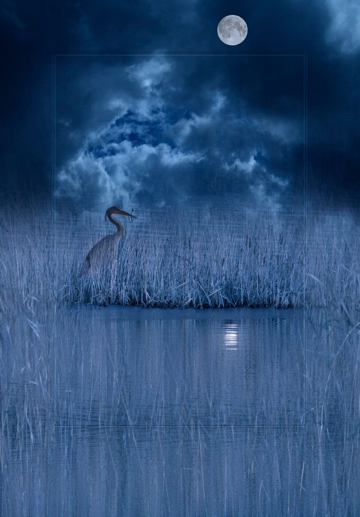 Julie Close - The Wee Pixel - Midnight Feast