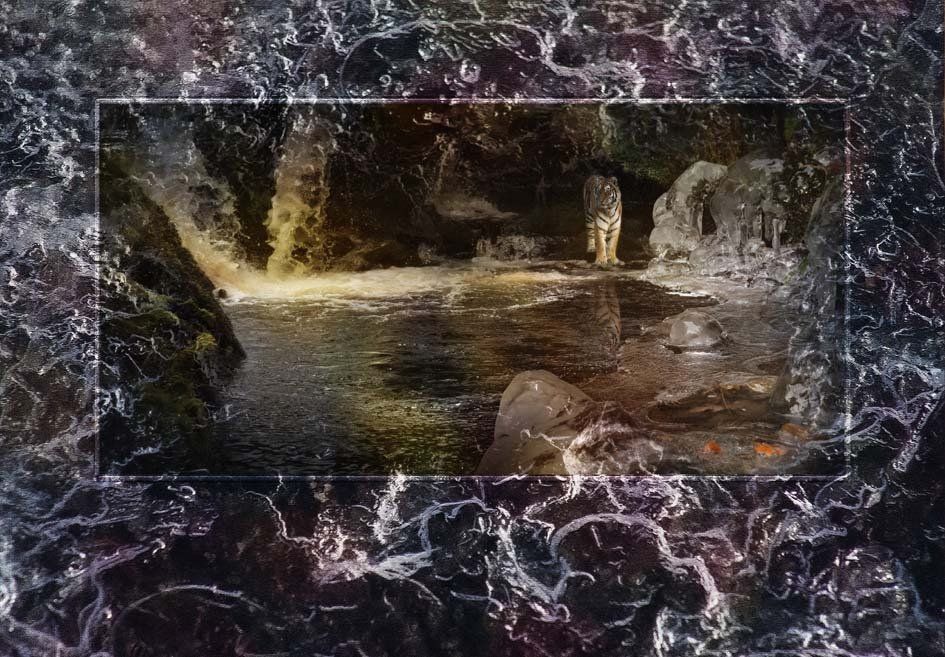 Composite Photograph by Julie Close The Wee Pixel