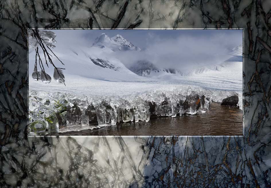 Composite Photograph by Julie Close The Wee Pixel