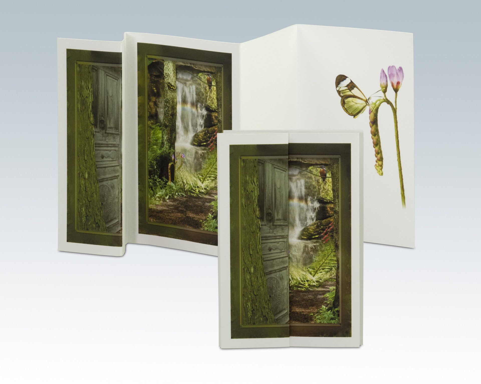 Composite Photograph by Julie Close The Wee Pixel