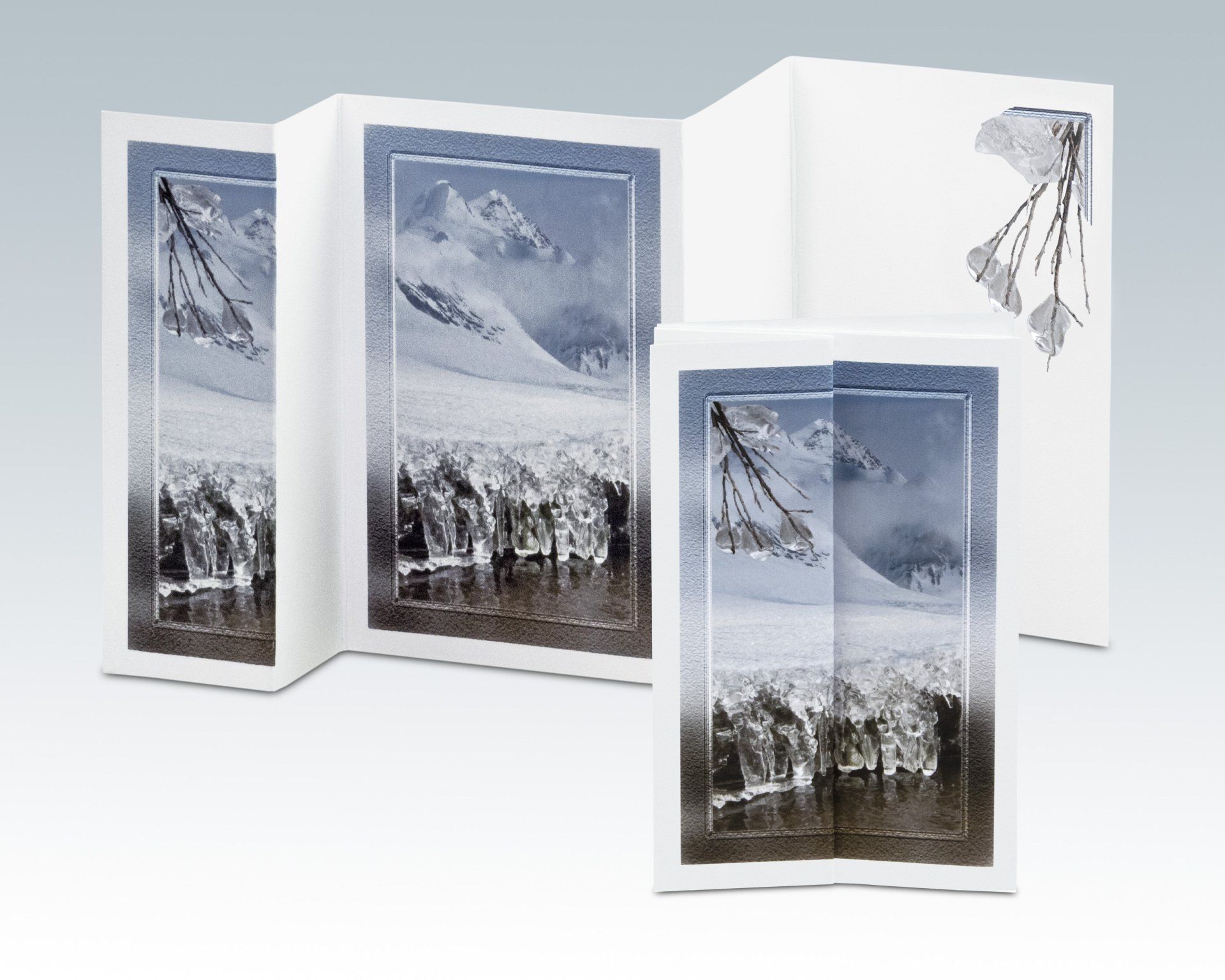 Composite Photograph by Julie Close The Wee Pixel